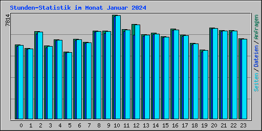 Stunden-Statistik im Monat Januar 2024