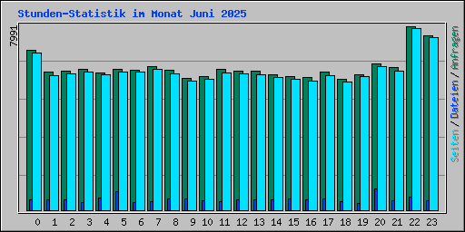 Stunden-Statistik im Monat Juni 2025
