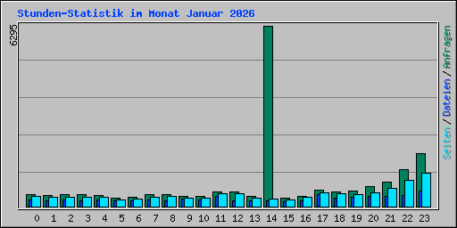 Stunden-Statistik im Monat Januar 2026