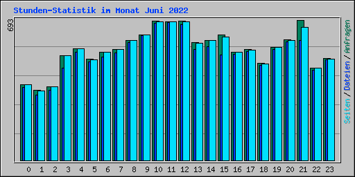 Stunden-Statistik im Monat Juni 2022