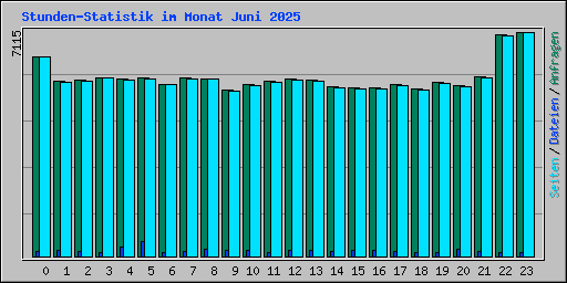 Stunden-Statistik im Monat Juni 2025