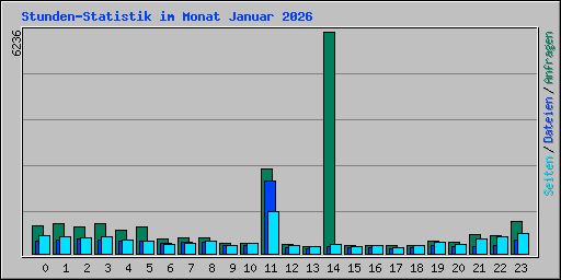 Stunden-Statistik im Monat Januar 2026