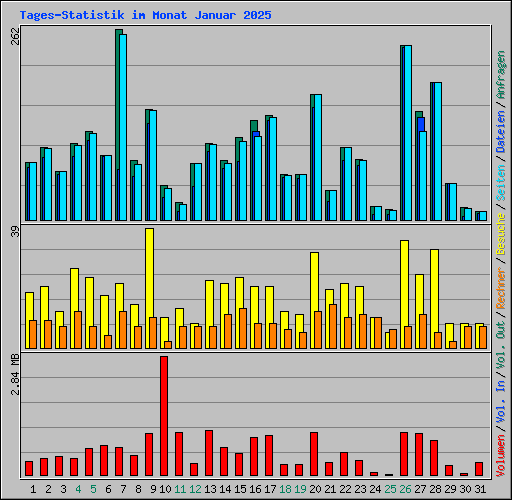 Tages-Statistik im Monat Januar 2025