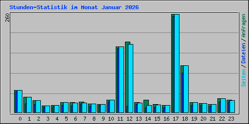Stunden-Statistik im Monat Januar 2026