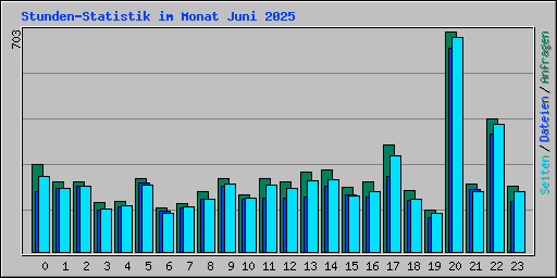 Stunden-Statistik im Monat Juni 2025