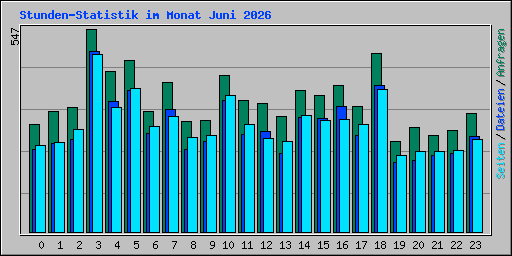 Stunden-Statistik im Monat Juni 2026