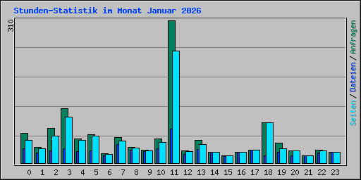 Stunden-Statistik im Monat Januar 2026
